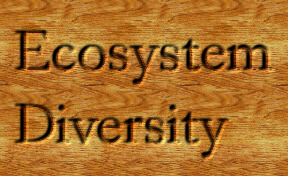 Ecosystem Diversity